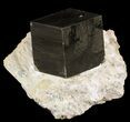 Pyrite Cube In Matrix - Navajun, Spain #51226-1
